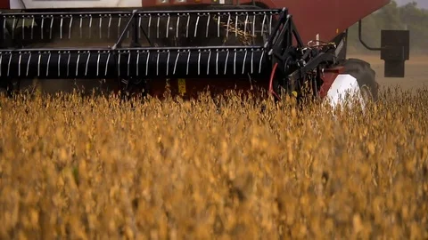 Machine harvesting soybeans in a farm Stock Footage 73847869
