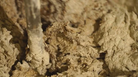 Machine to kneading dough for bread Stock Footage 74069340