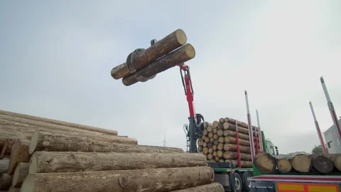Machine Lifting Two Tree Trunks Stocking  In Pile One Over Each Other Stock Footage 257896022