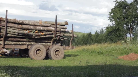 Machine loaded with long logs. Winter heating concept Video stock 119510506