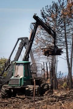 Machine loading bunch of logs into a trailer Stock-Fotos