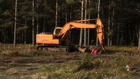Machine on the logging site Stock Photos