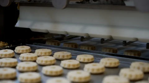 A machine making biscuit in a food industry Stock-Footage 294182634