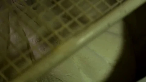 Machine making dough for bread Stock Footage 70431558