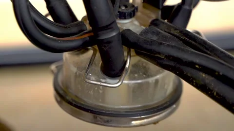 Machine Milking Cows on a Farm. Automated Milking Machine Controlled by a Stock Footage 185638532