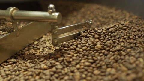 Machine mixes freshly roasted coffee beans in a roaster, close up Stock Footage 170696871