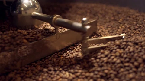 Machine mixes freshly roasted coffee beans in a roaster, close up Stock Footage 170696933