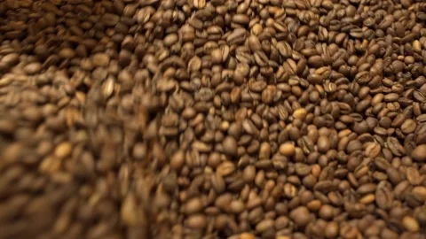 Machine mixes freshly roasted coffee beans in a roaster, close up Stock Footage 170696936