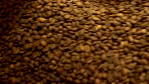 Machine mixes freshly roasted coffee beans in a roaster, close up Stock Footage 170696944