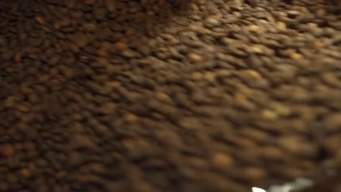 Machine mixes freshly roasted coffee beans in a roaster, close up Stock Footage 170696964