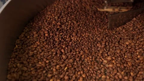 Machine mixes freshly roasted coffee beans in a roaster, close up Stock Footage 170696971