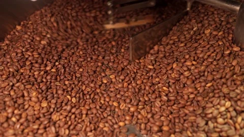 Machine mixes freshly roasted coffee beans in a roaster, close up Stock Footage 170696995