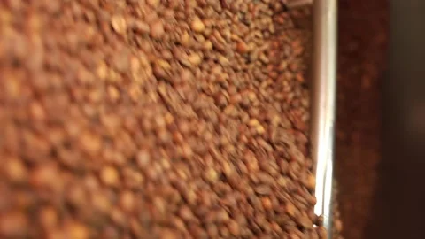 Machine mixes freshly roasted coffee beans in a roaster, close up Stock Footage 170697355