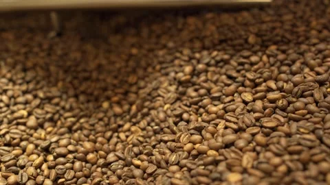 Machine mixes freshly roasted coffee beans in a roaster, close up Stock Footage 170697417