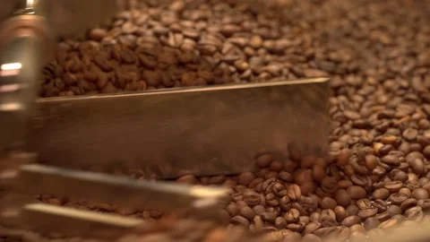 Machine mixes freshly roasted coffee beans in a roaster, close up Stock Footage 170697440