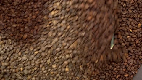 Machine mixes freshly roasted coffee beans, close up, top view Vídeos de archivo 170697559