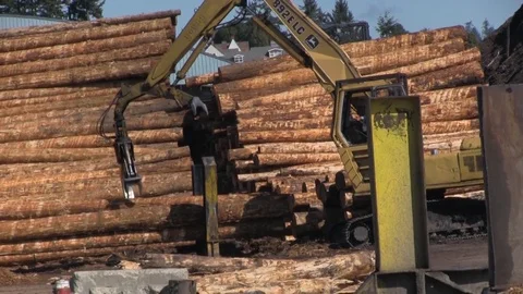 Machine moving logs up close Stock Footage 83098223