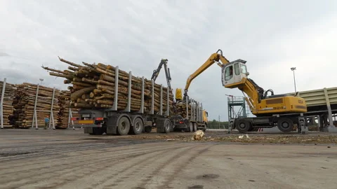 Machine or loader reloads logs or timber from truck or trailer on conveyor. Wood Stock Footage 107819756