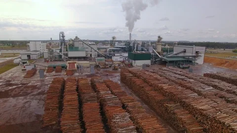 Machine or loader rides in warehouse, loads logs or timber on conveyor. Wood Stock-Footage 95682741