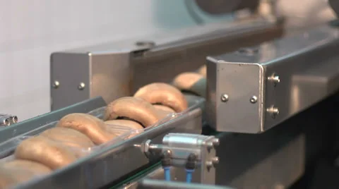 Machine packaging mushrooms Stock Footage 34527768