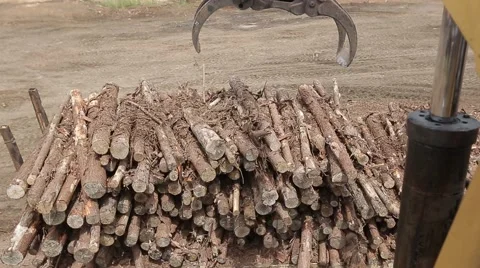 Machine to pick up logs Stock Footage 41441758