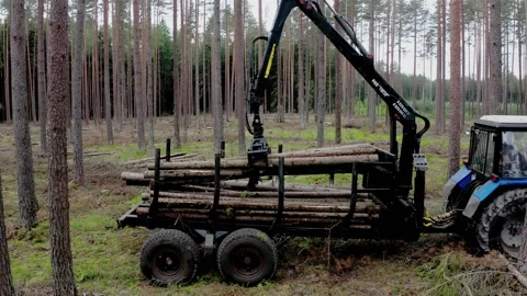 A machine picks trunks and puts them into a trailer in forest. Stock-Footage 152411460
