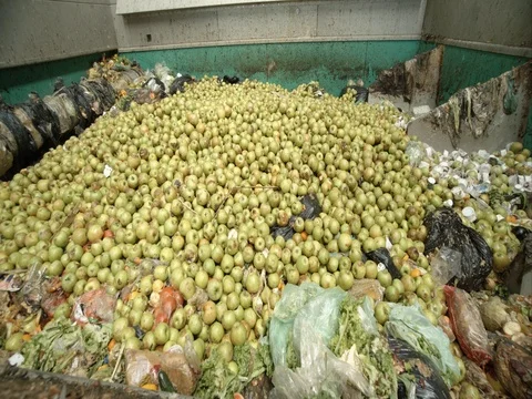 Machine processed fruits old compost Stock Footage