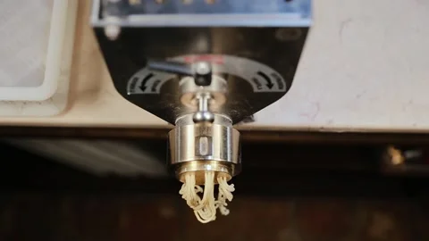 Machine produce pasta, ready for drying. Making spaghetti tagliatelle. Top view Vídeo Stock 134681485