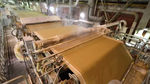 A machine for the production and packaging of cellulose sheets. Paper production Stockbeeldmateriaal 301817524