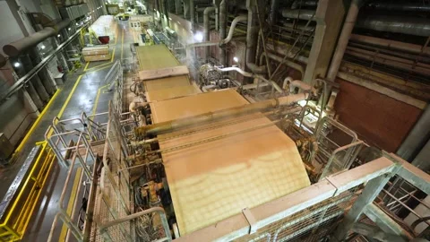 A machine for the production and packaging of cellulose sheets. Paper production Stockbeeldmateriaal 301822676