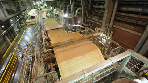 A machine for the production and packaging of cellulose sheets. Paper production Stockbeeldmateriaal 301823242