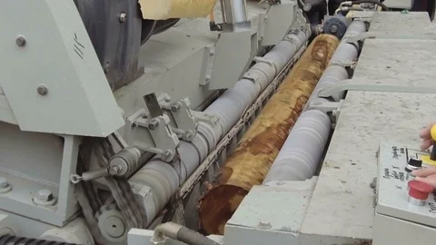 Machine for the production of veneer sheets, in the process. Rotating log is cut Stock Footage 99918273