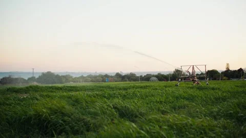 A machine with a pump for automatic field irrigation is working. Stock Footage 312275609