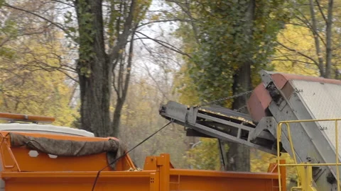 The machine removes fallen leaves Stock Footage 177494193