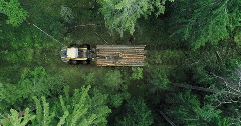A machine is riding through the forest picking up felled trees Vidéo 78821150