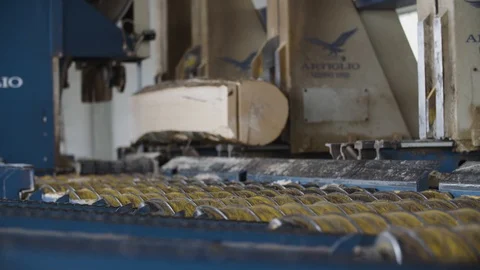 A machine is sawing a log Video stock 92787067