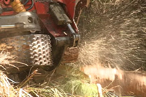 Machine sawing pine wood Video stock 37632058