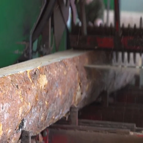 Machine saws round logs Vídeo Stock 69555570