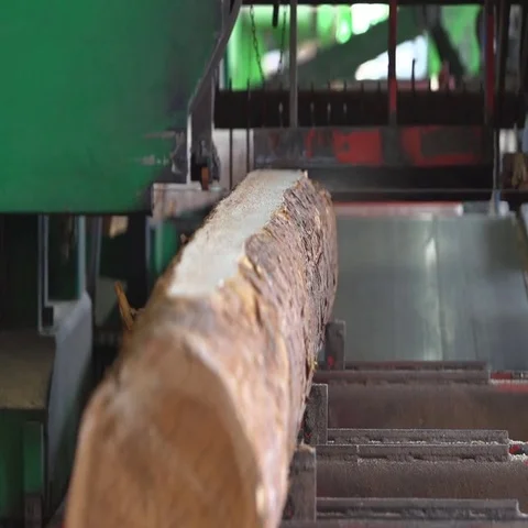 Machine saws round logs 動画素材 69555812