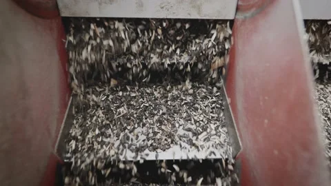 The machine separates the husk from the sunflower kernels. Stock Footage 165386992