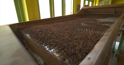 Machine sifts dried tea tea factory critical process in production Sri Lanka Tea Stock Footage 264348747