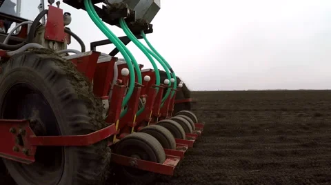 Machine sowing onion in the spring. Stock Footage 62191585