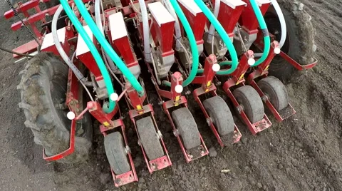 Machine sowing onion in the spring. Stock Footage 62192658