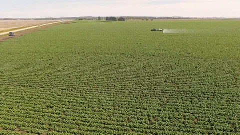 Machine spraying potato field 3 動画素材 116183262