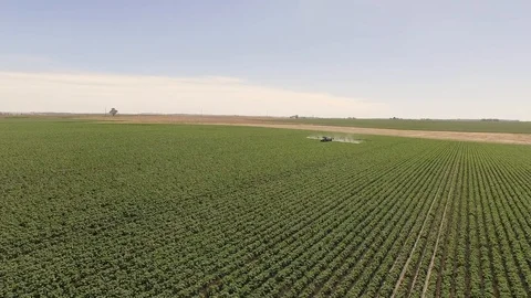 Machine spraying potato field 動画素材 116183196