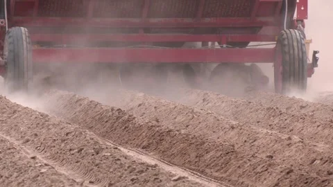 The machine steadily sows neat rows of potatoes Video stock 314962869