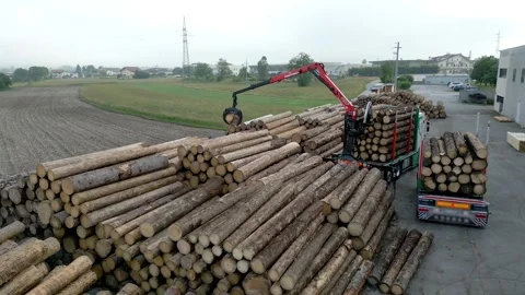 Machine Stocking Tree Trunks In Pile One Over Each Other Stock Footage 257896033