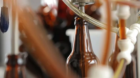 The machine substitutes the bottles under the nozzle to fill them with beer. Stock-Footage 113523163
