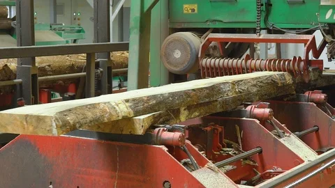 Machine-tool, woodworking machine cuts sawing log, timber, lumber, makes plank Stock-Footage 95833299