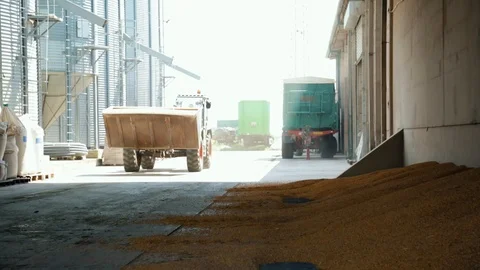 Machine Unloading Corn 스톡 동영상 127040398